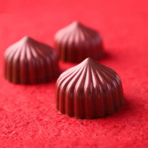 Chocolate Mould; mochi 2.webp